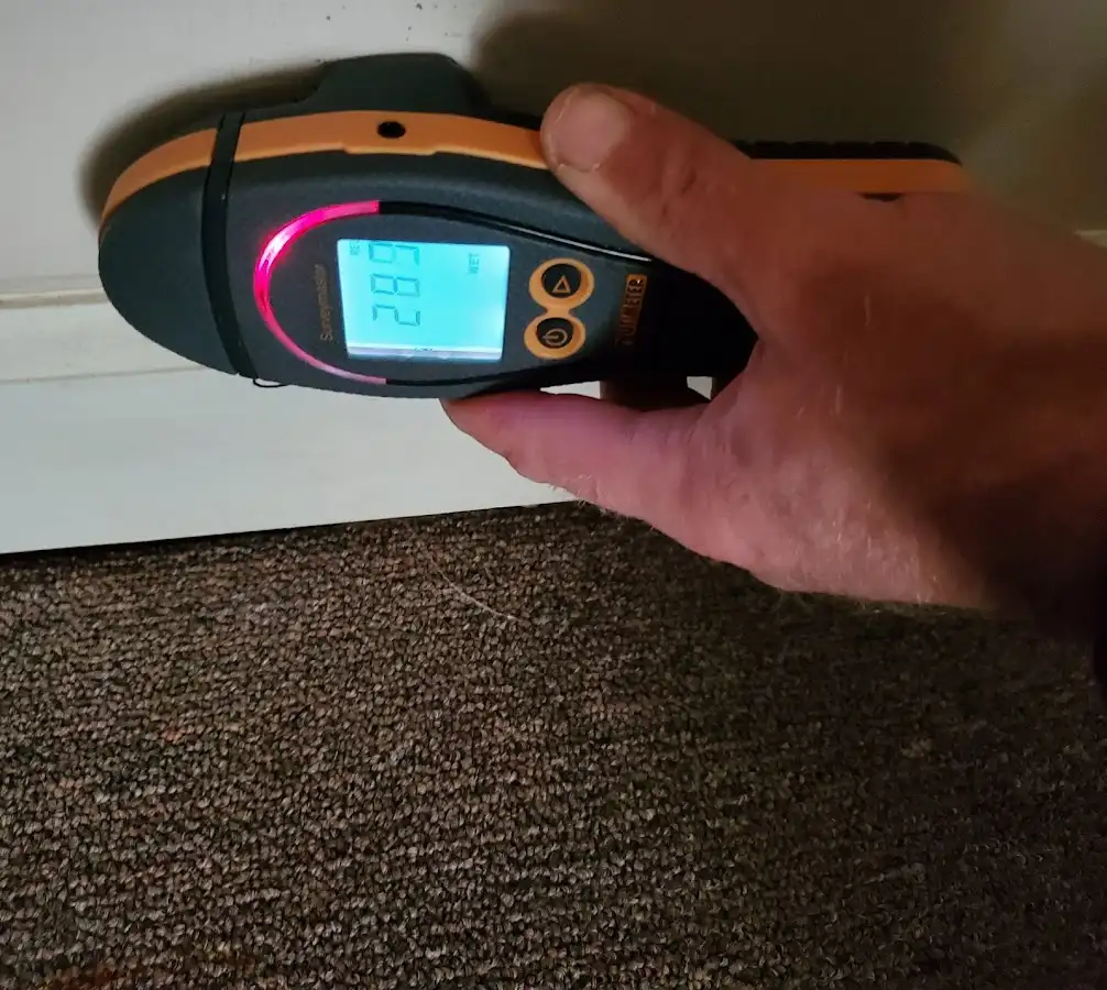 Moisture detection at baseboard during Sewage Cleanup & Sanitation in Indiana